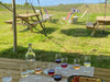 Vineyard Tour & Wine Tasting Event