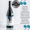 Great Moor 2022. Pinot Noir Précoce